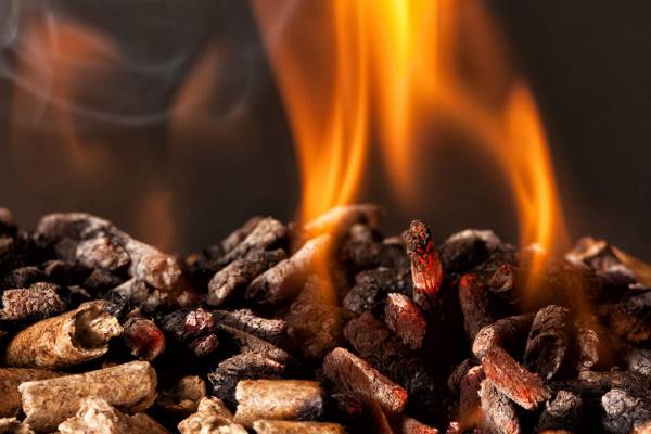 Incentivi statali per l’installazione di caldaie a biomassa