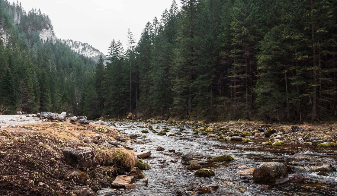 Impianti di recupero dell'acqua piovana